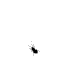 Benutzer-Avatarbild